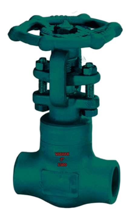 Forge Gate Valve